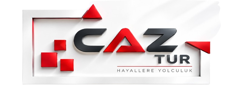 Ayzala E-Ticaret Sistemleri